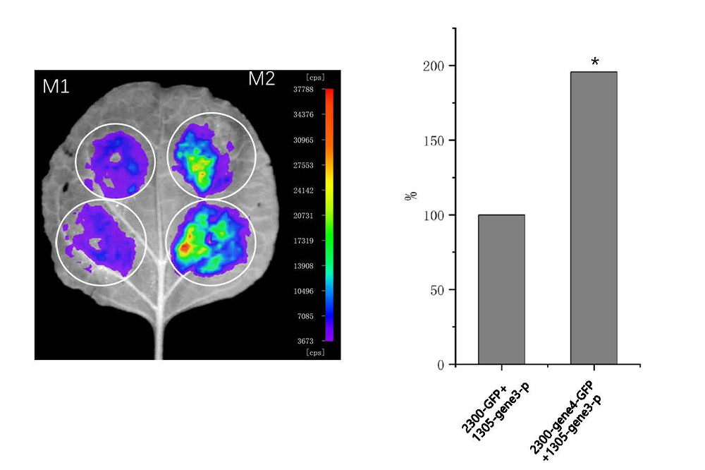案例.pptx 只读_页面_3